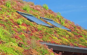 Martin Hussingtree living roof systems