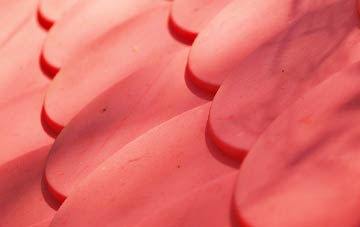 Martin Hussingtree plastic roof costs