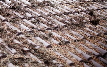 Martin Hussingtree roof cleaning companies