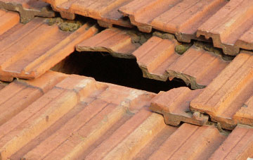 roof repair Martin Hussingtree, Worcestershire