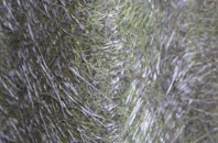 Martin Hussingtree fibreglass roof work